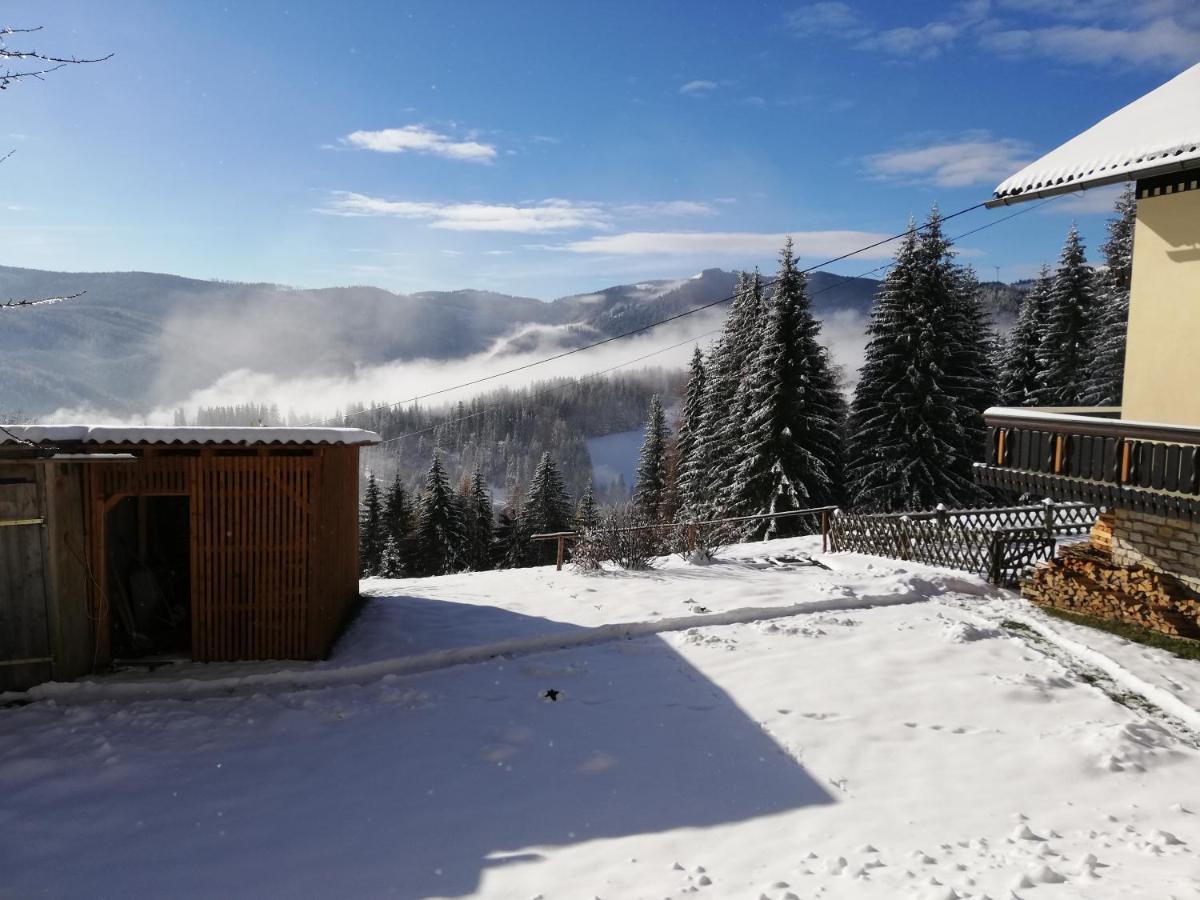 Вилла Ferienhaus Stubalpenblick Salla Экстерьер фото