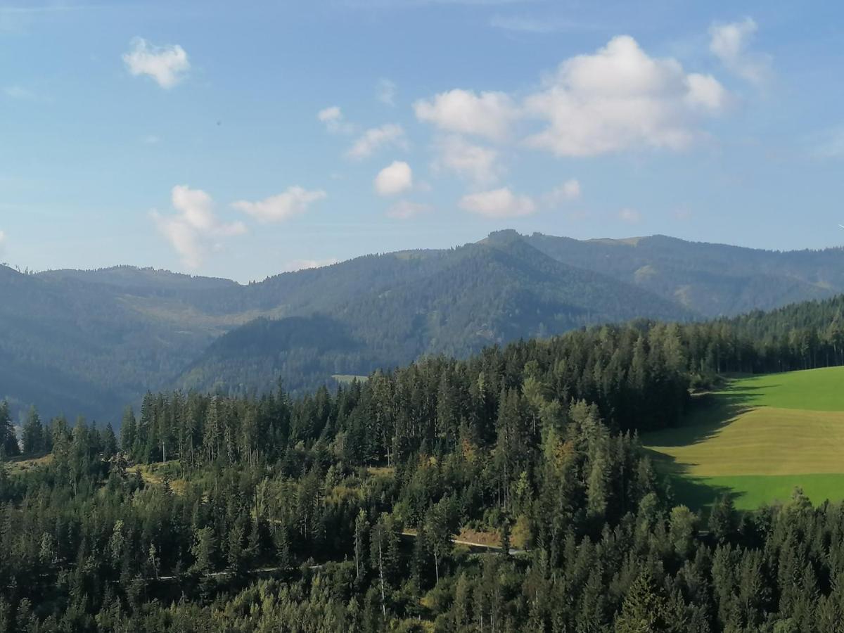 Вилла Ferienhaus Stubalpenblick Salla Экстерьер фото